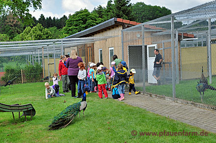 13_kindergarten_besuch_005